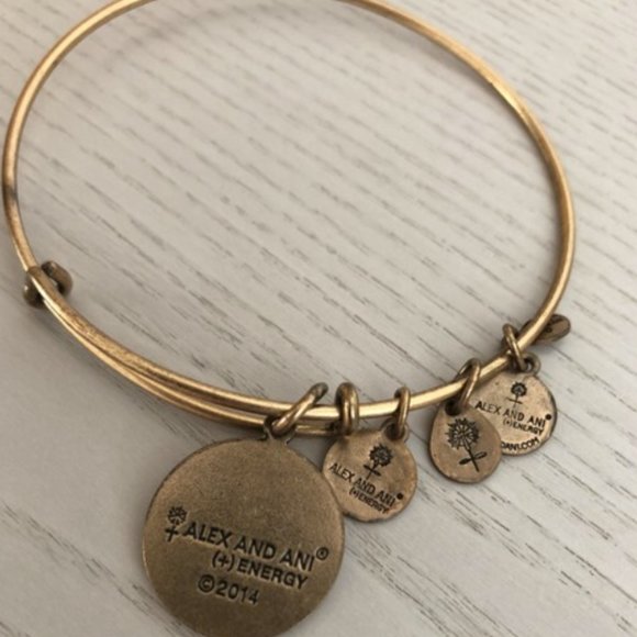 Alex and Ani Antique Gold Sister Charm Bangle Bracelet - Picture 3 of 4